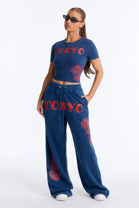 Tokyo Fleece Wide Leg Pant Set - Blue