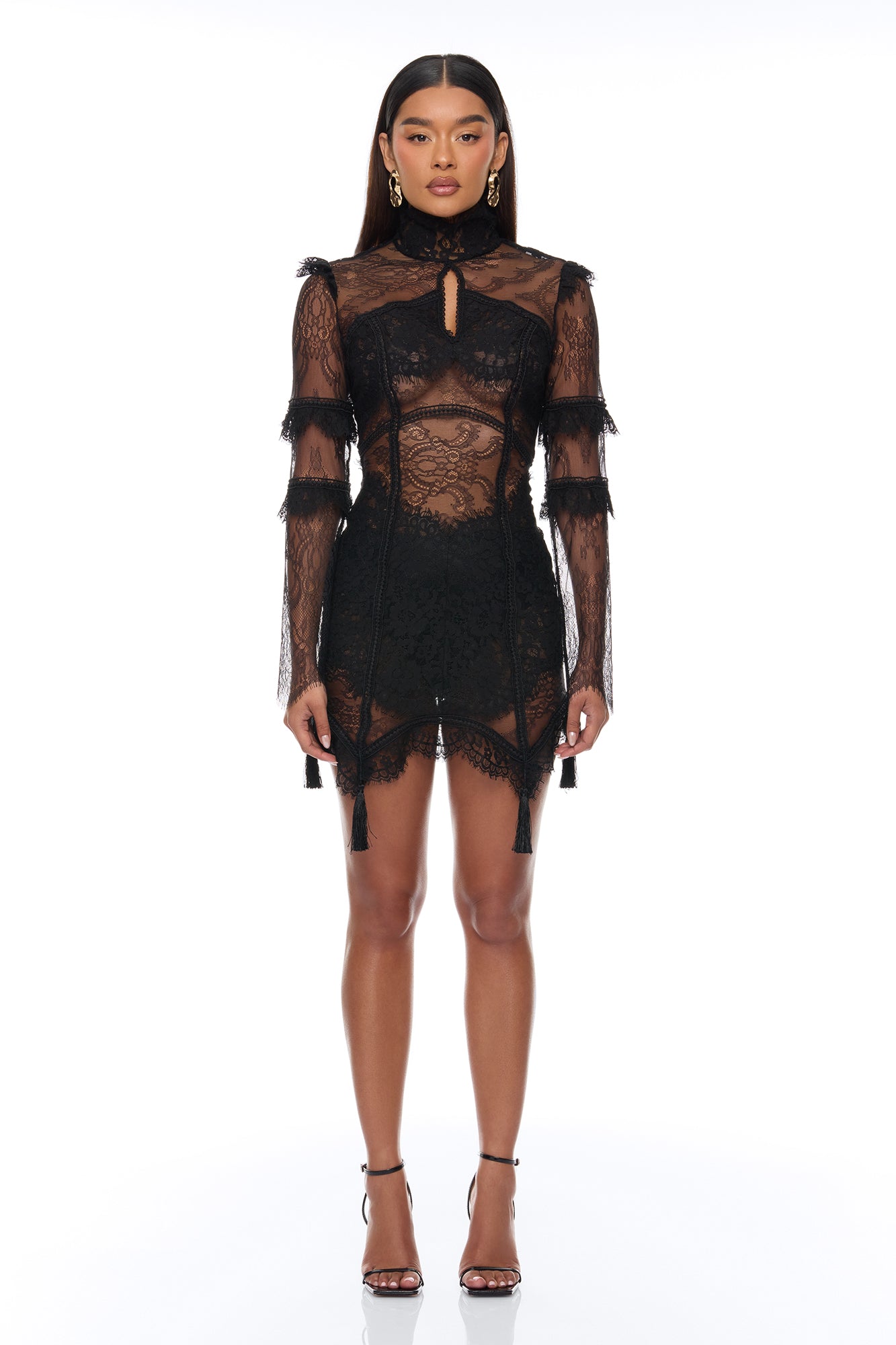 Lana Sheer Lace Mini Dress - Black