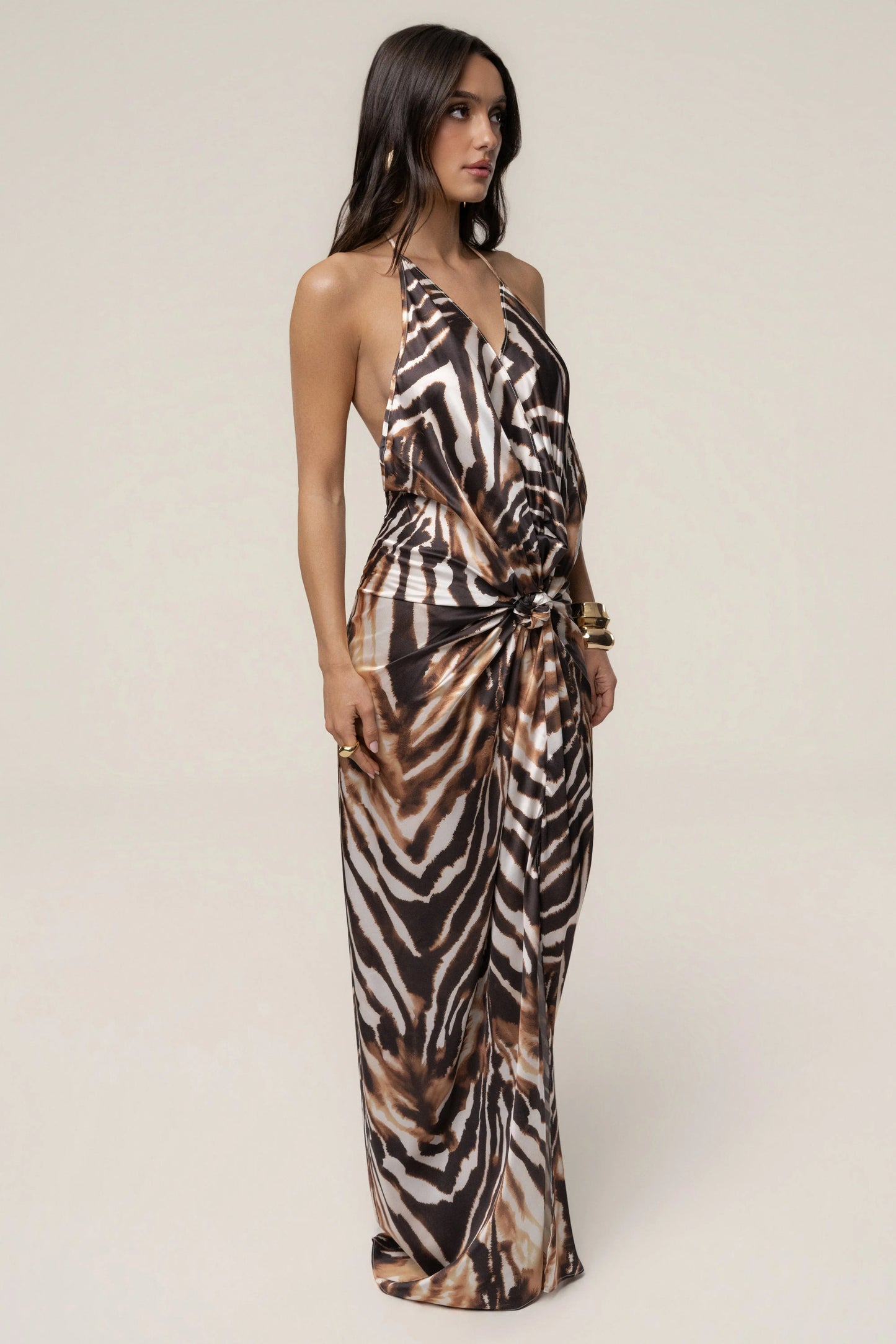 Multi Desert Muse Print Maxi Dress JLUXLABEL