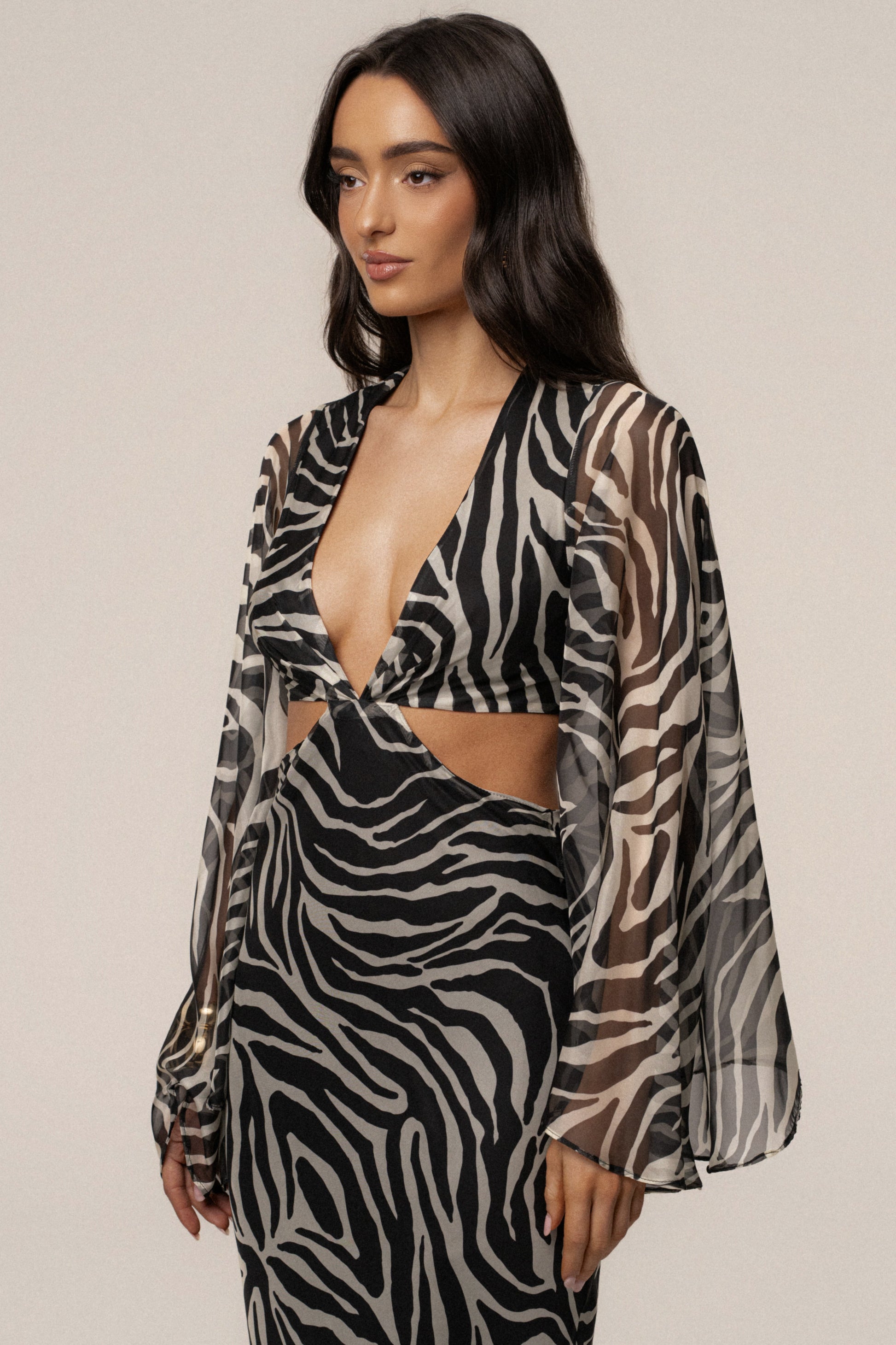 Black Zebra Instincts Print Maxi Dress JLUXLABEL