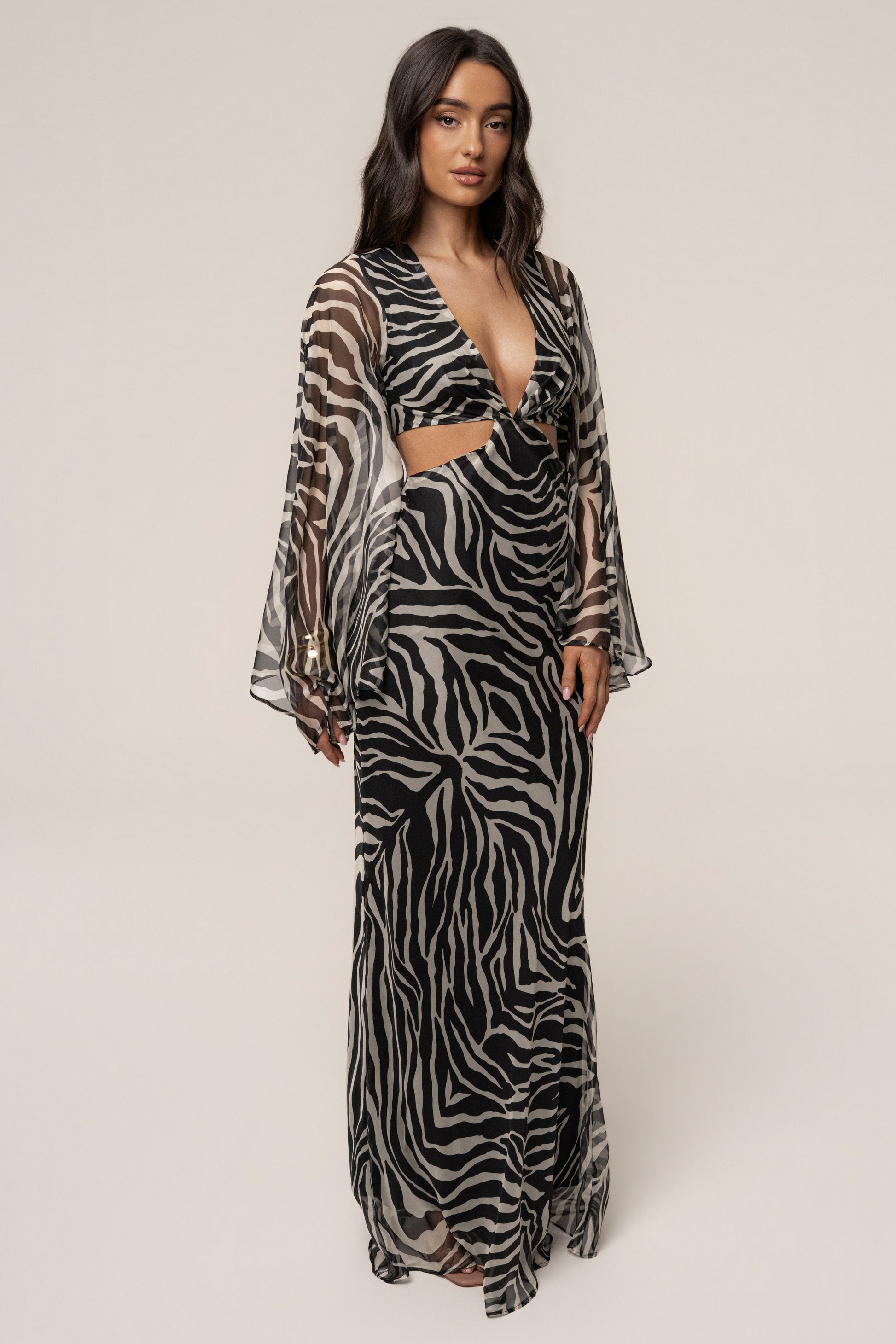 Black Zebra Instincts Print Maxi Dress JLUXLABEL