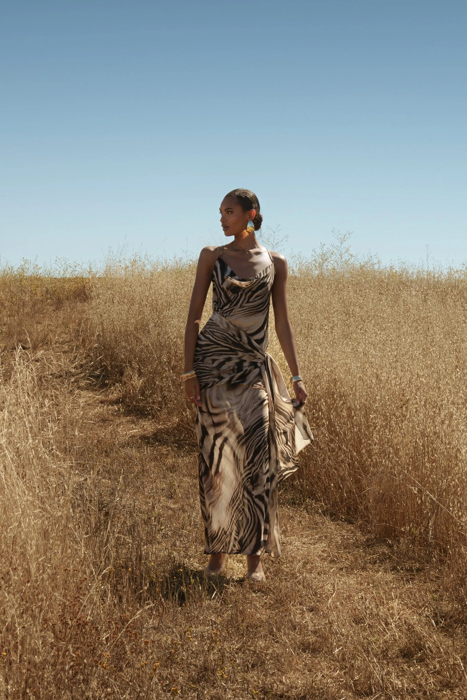 Brown Zebra Print Infinite Journey Maxi Dress JLUXLABEL