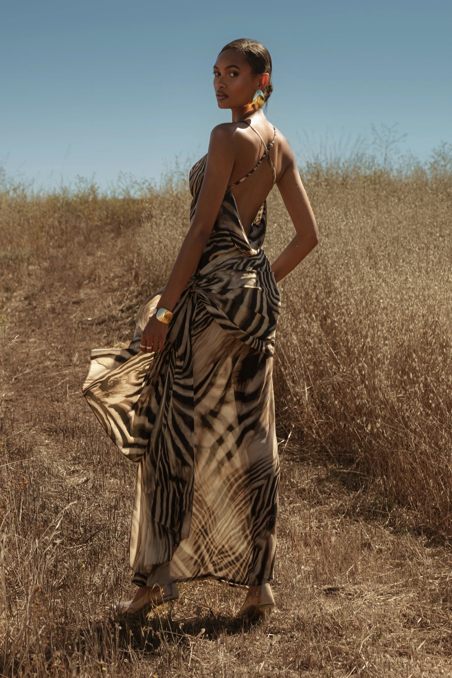 Brown Zebra Print Infinite Journey Maxi Dress JLUXLABEL